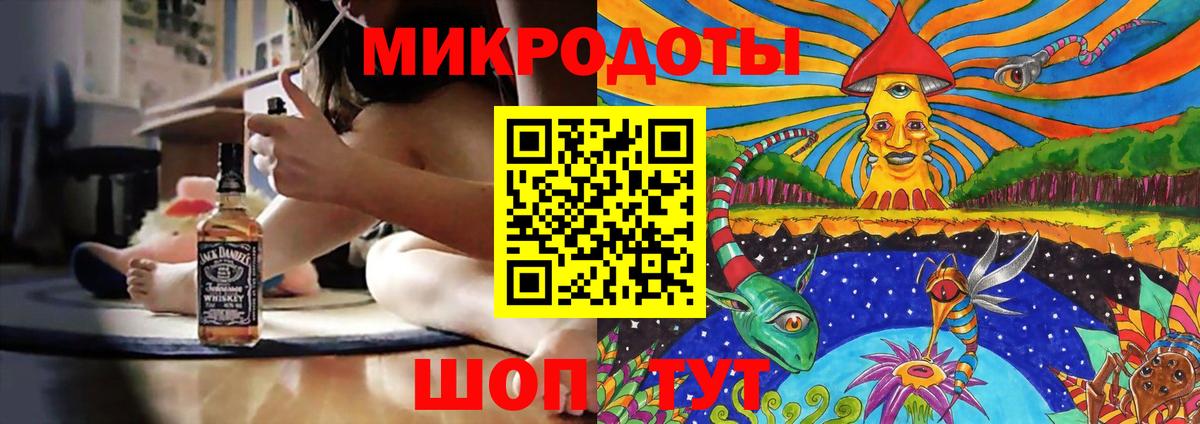 Галлюциногенные грибы Psilocybe Ноябрьск